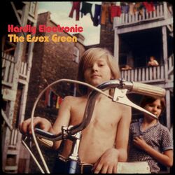 Essex The Green Hardly Electronic (Red/Orange Swirl) Vinyl  LP