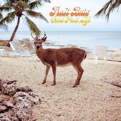 Fruit Bats Gold Past Life Vinyl  LP 