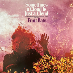 Fruit Bats Sometimes A Cloud Is Just A Cloud: Slow Growers  Sleeper Hits And Lost Songs (2001-2021)2 Vinyl  LP 