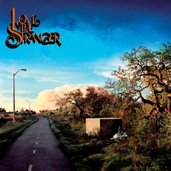 Friendship Love The Stranger Vinyl  LP 