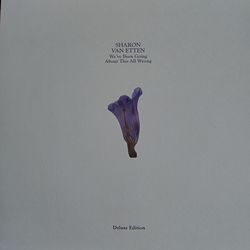 Van Sharon Etten We'Ve Been Going About This All Wrong (Deluxe Edition) VINYL  LP