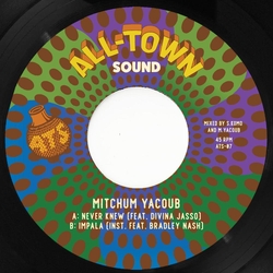 Mitchum Yacoub Never Knew [7In] VINYL 7