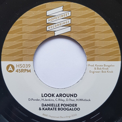 Danielle Ponder / Karate Boogaloo Look Around / Little Bit Vinyl 7" 