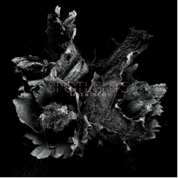 Spotlights Love & Decay VINYL 2 LP 