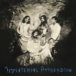 Immaterial Possession Immaterial Possession Vinyl  LP 