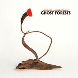 Meg Baird And Mary Latti Ghost Forests -Gatefold- Vinyl  LP