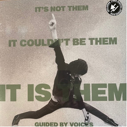 Guided By Voices It's Not Them. It Couldn'T Be Them. It Is Them! (Vinyl) Vinyl  LP 