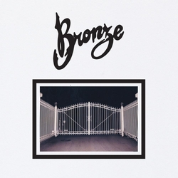 Bronze Absolute Compliance Vinyl  LP 