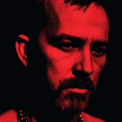 Duquette Johnston The Social Animals Vinyl  LP 
