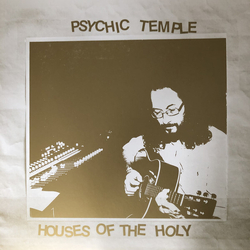 Psychic Temple House Of The Holy2 Vinyl  LP 