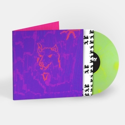 Dehd Poetry (Colour Vinyl) VINYL  LP