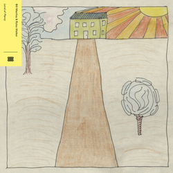 Bill Mackay / Ryley Walker Land Of Plenty VINYL  LP