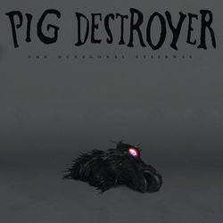 Pig Destroyer Octagonal Stairway (Ltd Coloured Vinyl) Vinyl  LP 