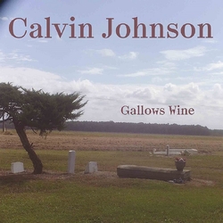 Calvin Johnson Gallows Wine VINYL  LP
