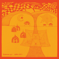 Plankton Wat Hidden Path Vinyl  LP 