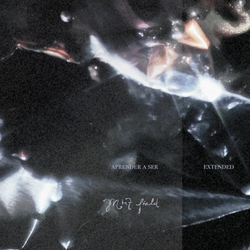 Mint Field Aprender A Ser: Extended VINYL  LP