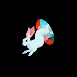 Ganser Animal Hospital VINYL  LP