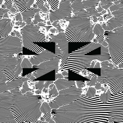 Moire No Future2 Vinyl  LP 