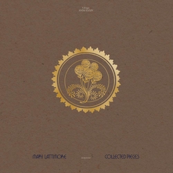 Mary Lattimore Collected Pieces Ii2 Vinyl  LP 