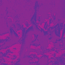 Bardo Acid Pond Mothers Temple & G Acid Guru Pond (Vinyl) VINYL 2 LP 