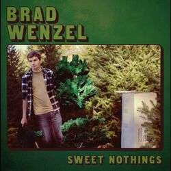 Brad Wenzel Sweet Nothings (Vinyl) Vinyl  LP 
