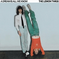 Lemon The Twigs A Dream Is All We Know VINYL  LP