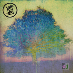 Eric Johnson Ej (180G/Download) Vinyl  LP