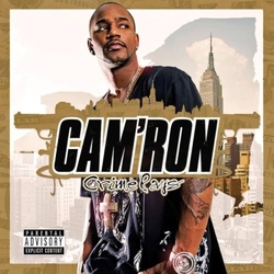 Cam'Ron Crime Pays VINYL  LP