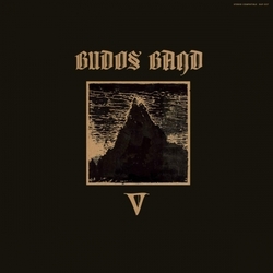 Budos The Band V Vinyl  LP
