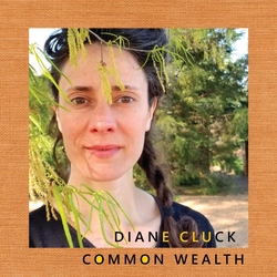 Diane Cluck Common Wealth VINYL 10