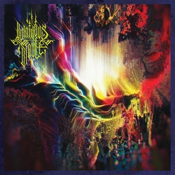 Luminous Vault Animate The Emptiness VINYL  LP