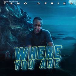 Teno Afrika Where You Are VINYL  LP