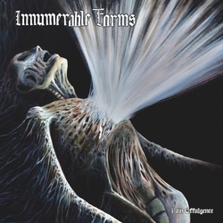 Innumerable Forms Pain Effulgence VINYL  LP