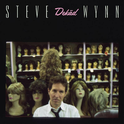 Steve Wynn Dekad - Rare & Unreleased Recordings 1995-2005 (Limited 2- LP Clear Pink Vinyl Edition)2 Vinyl  LP 