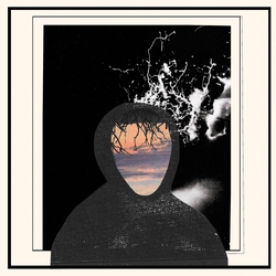 Doseone & Steel Tipped Dove All Portrait  No Chorus VINYL  LP