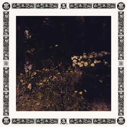 Sarah Davachi Pale Bloom Vinyl  LP