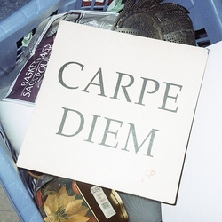 Walter Tv Carpe Diem Vinyl  LP 