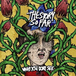 Story So The Far What You Don'T See Vinyl  LP