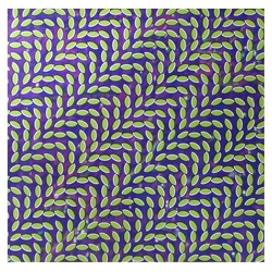 Animal Collective Merriweather Post Pavilion VINYL 2 LP 