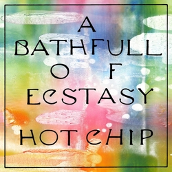 Hot Chip A Bath Full Of Ecstasy VINYL  LP