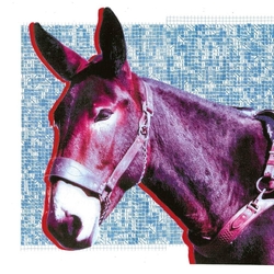 Protomartyr Ultimate Success Today VINYL  LP