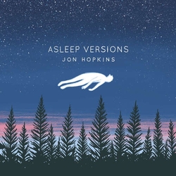 Jon Hopkins Asleep Versions VINYL 2 LP 