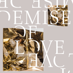 Demise Of Love Demise Of Love VINYL  LP