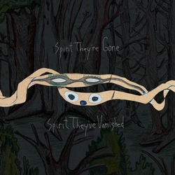 Animal Collective Spirit They'Re Gone  Spirit They'Ve Vani VINYL 2 LP 