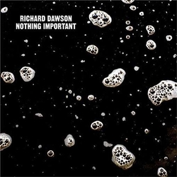 Richard Dawson Nothing Important VINYL  LP