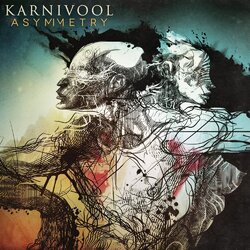 Karnivool Asymmetry Vinyl  LP