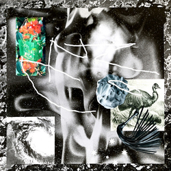 No Zu Afterlife [ LP] VINYL  LP
