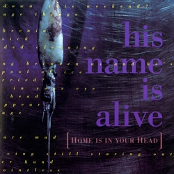 His Name Is Alive Home Is In Your Head (Vinyl) VINYL  LP(150G)