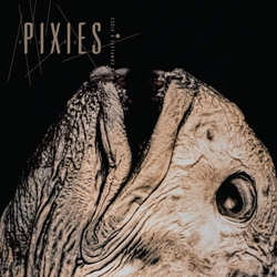 Pixies Complete B Sides: 1988-97 2CD