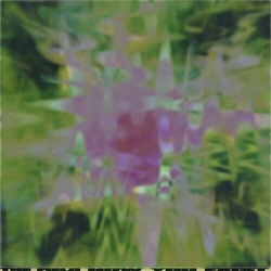 The Field Now You Exist (12In) VINYL 12INCH